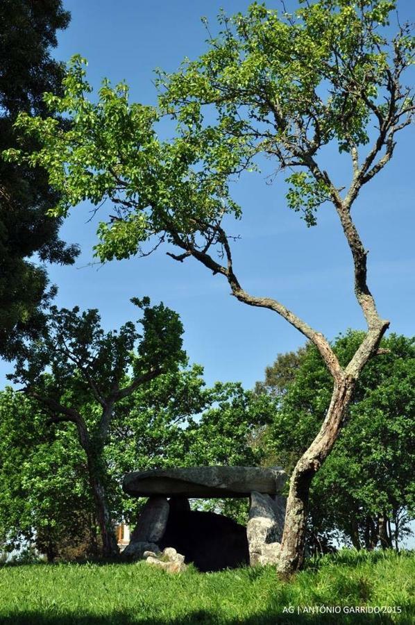 Angelas - Casa Da Eira Vila Praia de Âncora Eksteriør billede